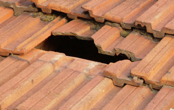 roof repair Pinksmoor, Somerset